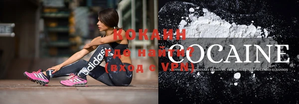 стаф Баксан