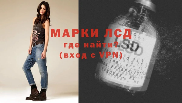 стаф Баксан