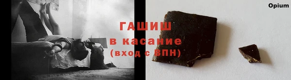 стаф Баксан