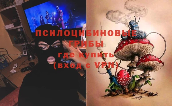 соль курить ск Белокуриха