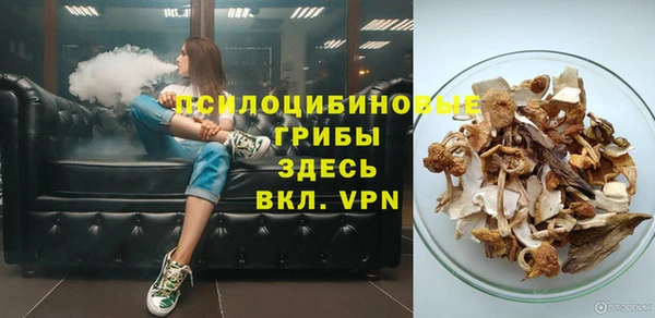 стаф Баксан